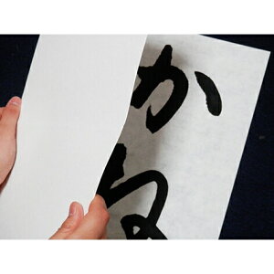 n`̖nz񂾂` 10 [LZEύXEԕis]