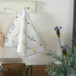 �j�b�g �L�b�`���N���X �X�v���[ early summer (���n:�z���C�g)