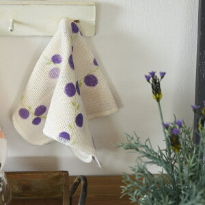 �j�b�g �L�b�`���N���X �ʎ� grape (���n:�L�i��) [�L�����Z���E�ύX�E�ԕi�s��]