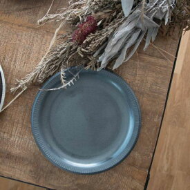 削ぎ模様 24cmパスタプレート 銀彩鉄結晶