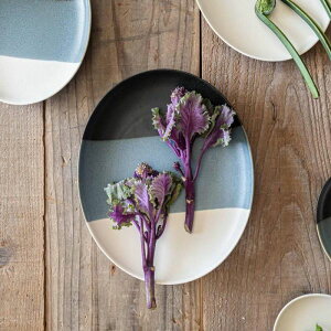 [R(miyama.) cavea-J[FA- 25cmȉ~M × h蕪 |