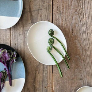 [R(miyama.) cavea-J[FA- 20cmȉ~M × h蕪 |