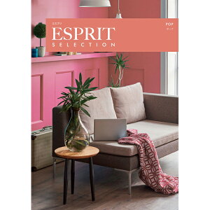 J^OMtg ESPRIT(GXv) |bv 3,800~R[X