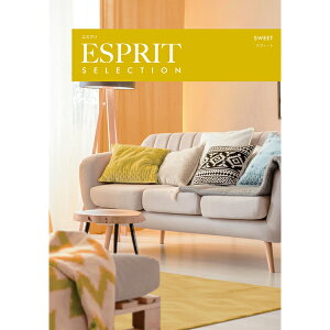 J^OMtg ESPRIT(GXv) XEB[g 4,300~R[X