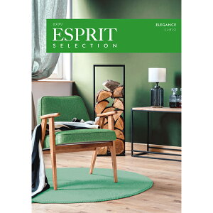 J^OMtg ESPRIT(GXv) GKX 4,800~R[X