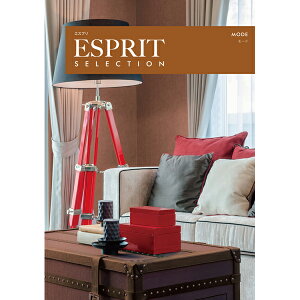 J^OMtg ESPRIT(GXv) [h 30,800~R[X