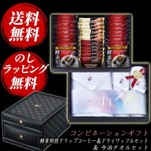 Rrl[VMtg yfhbvR[q[hCbtZbg^IZbg (MV6-BT2)