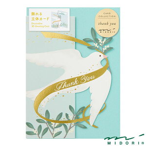 ~h J[h  gi88670006jyMIDORI J[h 킢 fUC z