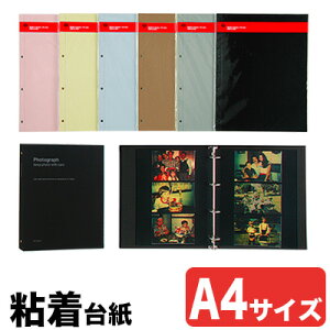y|Cg10{zftHjbNX / PD tHgAo tBiS A4j 5iFBR13 / 500177jyDELFONICS Ao ʐ^ 䎆 S䎆 䎆 J[䎆 L 3iz
