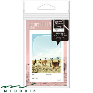 y݌Ɍzy[։ 10܂Łz~h MIDORI / t sN`[ ApJi11342006jyt ӂ fUC  킢z