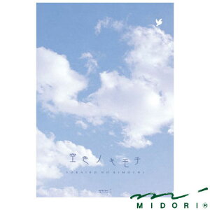 ~h MIDORI /  FmL`i20399006j