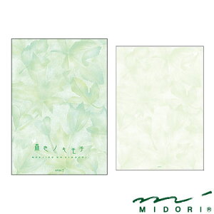 ~h MIDORI /  XFmL`i20403006j