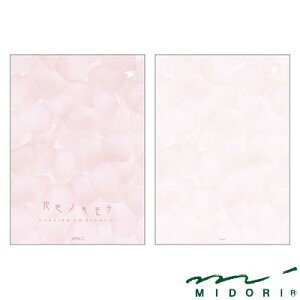 ~h MIDORI /  ԐFmL`i20405006j