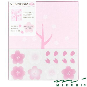 ~h MIDORI / J[F V[t i33156006j