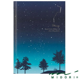 ~h MIDORI /L 󕿁i12389006j