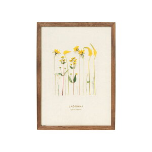 hi tHgt[ AoeB 2LiDF53-2L-BRjyLADONNA PHOTO FRAME AVANTI ʐ^ fUC  CeAz