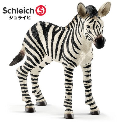 楽天市場 シュライヒ 動物フィギュア シマウマ 仔 Schleich 動物 フィギュア デザイン おしゃれ おもちゃ プレゼント インテリア ギフト 文房具屋フジオカ文具e Stationery