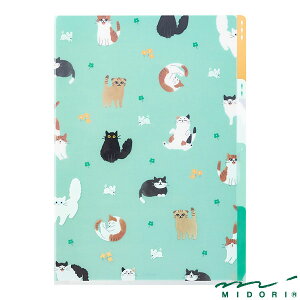 ~h 3|PbgNAz_[ A4 lRAi35479006jyMIDORI NAz_[ 킢 fUC z