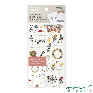 ~h V[ ] `[tԕi82580006jyMIDORI V[ ] 킢 fUC z