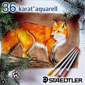 Xebh[ STAEDTLER / Jg ANF ʐFMi36FZbgji125 M36jiA-53558jyXebh[ FM fUC  A hCcz