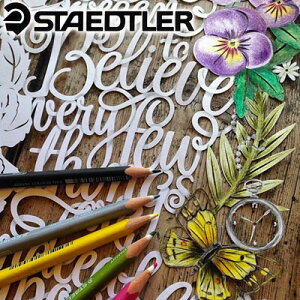 �y���[���։� 2�܂Łz�X�e�b�h���[ STAEDTLER / �G���S�\�t�g �F���M�i12�F�Z�b�g�j�i157 SB12�j�y�X�e�b�h���[ �F���M �f�U�C�� ������� �A�� �h�C�c�z