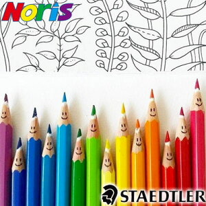 y[։ 2܂ŁzXebh[ STAEDTLER / mXNu FM i12FZbgji144 50NC12jyXebh[ FM fUC  A hCcz