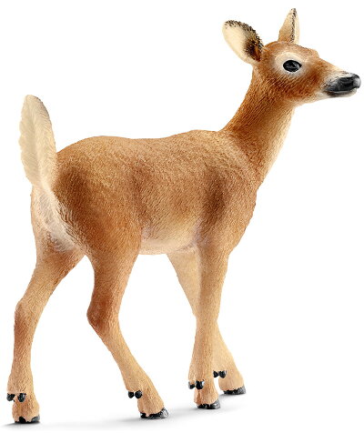 楽天市場 シュライヒ 動物フィギュア オジロジカ メス 14710 Schleich 動物 フィギュア デザイン おしゃれ おもちゃ プレゼント インテリア ギフト 文房具屋フジオカ文具e Stationery