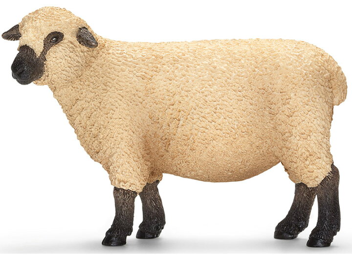 楽天市場 シュライヒ 動物フィギュア シュロップシャーヒツジ Schleich 動物 フィギュア デザイン おしゃれ おもちゃ プレゼント インテリア ギフト 文房具屋フジオカ文具e Stationery