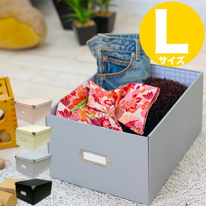 y[{bNX t^t z[iCY }WbN{bNX [{bNX t^tiLTCYjiRMX-002jy[ P[X {bNX ߗ   fUC  킢z