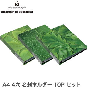 GgWF fB RX^J GREEN A4NAt@C 4 hz_[10V[g CfbNX4R DOt@C ZbgiGRN-19jytϕ/[t/etranger di costarica Ot@C X
