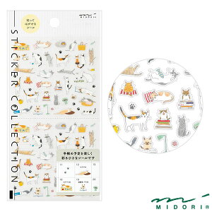 ~h V[ S lRi82687006jyMIDORI V[ 킢 fUC z