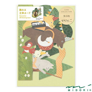 ~h J[h  yi88764006jyMIDORI J[h 킢 fUC z