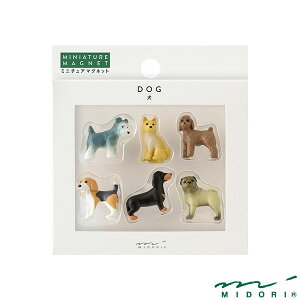 ~h ~j}Olbg 6 CkCi43426006jyMIDORI }Olbg 킢 fUC z