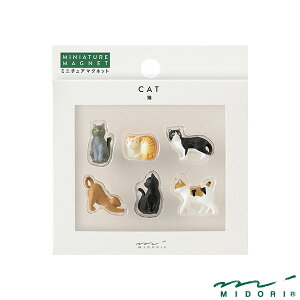 ~h ~j}Olbg 6 lRCi43427006jyMIDORI }Olbg 킢 fUC z