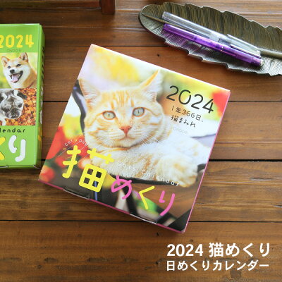 猫めくり 2023年 カレンダー 日めくりカレンダー 台座付き（CK-C23-01）【猫めくりカレンダー ネコ 卓上・壁掛け両用 インテリア デザイン おしゃれ】