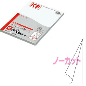 RN / PPCp xip^CvjA4im[JbgjyKB-A190z