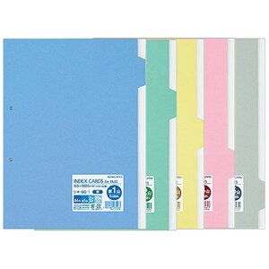 RN / J[d؂J[hit@CpE5RojA4 ^e^yVL-60z