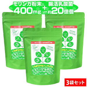 送料無料!【3袋セット】モリンガかぞく(モリンガ 乳酸菌 腸活乳酸菌 もち麦 腸活ダイエット 腸内細菌 腸内環境 腸内フローラ ポリフェノール 水溶性食物繊維 ギャバ イノシトール 粒 サプ