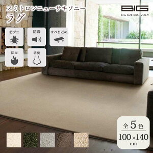 sZ]D BIGSIZE RUGtX~gj[TL\j[ O 100×140cm ` { X~mG h L Չ h ~ h_j gΉ zbgJ[ybgΉ }bg O}bg イ