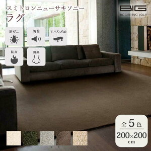 sZ]D BIGSIZE RUGtX~gj[TL\j[ O 200×200cm ` { X~mG h L Չ h ~ h_j gΉ zbgJ[ybgΉ }bg O}bg イ