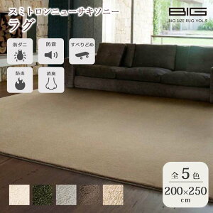 sZ]D BIGSIZE RUGtX~gj[TL\j[ O 200×250cm ` { X~mG h L Չ h ~ h_j gΉ zbgJ[ybgΉ }bg O}bg イ