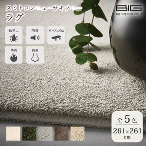 sZ]D BIGSIZE RUGtX~gj[TL\j[ O 261×261cm ]ˊ4.5 ` { X~mG h L Չ h ~ h_j gΉ zbgJ[ybgΉ }bg O}b