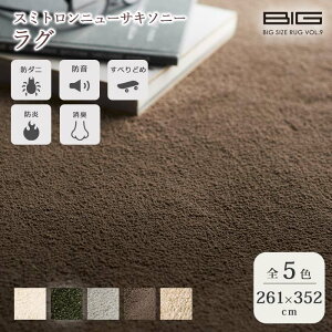 sZ]D BIGSIZE RUGtX~gj[TL\j[ O 261×352cm ]ˊ6 ` { X~mG h L Չ h ~ h_j gΉ zbgJ[ybgΉ }bg O}bg 