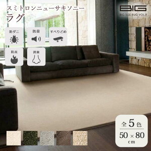 sZ]D BIGSIZE RUGtX~gj[TL\j[ O 50×80cm ` { X~mG h L Չ h ~ h_j gΉ zbgJ[ybgΉ }bg O}bg イ 