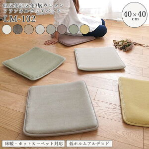 sNatural Posture/LFtᔽ  3wE^ tl `FApbh 40×40 􂦂 E^ g[Ή zbgJ[ybgΉ ~ߕt Չ   ݃J[ ` lm-102-4