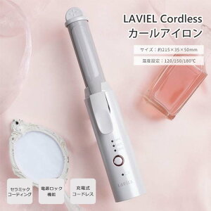 �_���K�̔��X�^�sLAVIEL/SKJ�t�R�[�h���X �J�[���A�C���� 23mm �w�A�A�C���� �R�e �w�A�R�e �w�A�Z�b�g �R���p�N�g �����^�� �[�d�� ���o�C���o�b�e���[�[�d �d�����b�N ���x���� 120�� 150�� 180