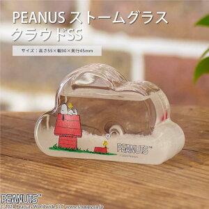 sCTStPEANUTS (s[ibc) Xg[OX NEhSS Xk[s[ SNOOPY Cیv tBbcC̋Cیv VC\ TCGX Ȋw V u IuWF CeA   Vzj 