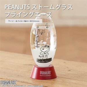 yi/݌ɌzsCTStPEANUTS (s[ibc) Xg[OX tCOG[X Xk[s[ SNOOPY Cیv tBbcC̋Cیv VC\ TCGX Ȋw V u CeA  