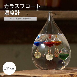 sCTStKXt[gxv  RpNg KIxv ̂ЂTCY  xv TCGX Ȋw TCGXG j[N u IuWF Vzj zj Mtg a