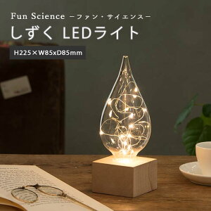 y|Cg10{zsCTSt LEDCg Fun Science t@ETCGX R[hXdl A[g TCGX Ȋw IuWF v[g CeA DS TS 333-300 ykCEEz